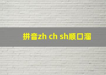 拼音zh ch sh顺口溜